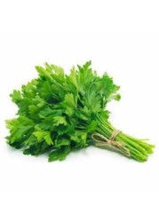 Premium Coriander Herbs 200gm