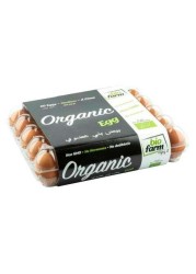 Bio Farm Organic Egg x 30