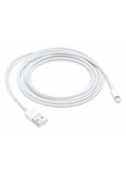 Apple Lightning to USB Cable, 2m