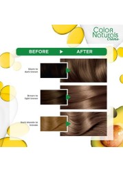 COLOR NATURALS DARK BLONDE 6