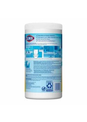 Citrus Mix Disinfecting Wet Wipes 559g