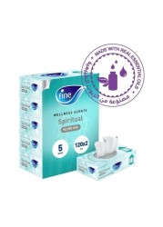 Fine Facial Tissues - Silver Oud 120 Tissue × 5