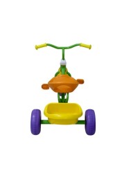 ALISSA Kids Bicycle, Outdoor Indoor Tricycle Ride On Bike, Green.