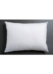 Single Piece Anti Allergic 100% Virgin Fiber Pillow 45x68 cm