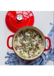 LODGE Enamel Red 5.5 Quart Dutch Oven EB5D42INT