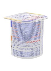 Elle &amp; Vire Peach Fruit Yoghurt 125g