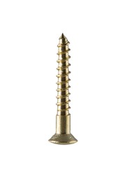 Suki Wood Screw (.3 x 2 cm, Pack of 100)