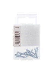 Suki Steel Pan Head Self-Tapping Screw Pack (3.5 cm, 10 Pc.)