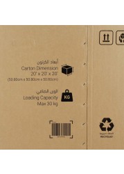 Ace 5 Ply Carton Box (50.8 x 50.8 x 50.8 cm)