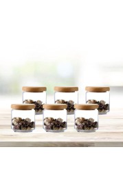 Ocean Wooden Pop Jar Set (500 ml, 6 Pc.)