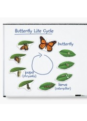 Learning Resources Magnetic Butterfly Life Cycle