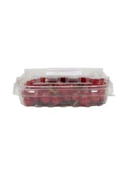 RED CURRANT PP