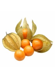 Physalis 100gm