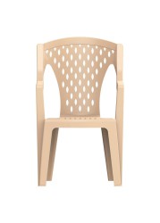 Cosmoplast Plastic Queen Armchair (59 x 58 x 93 cm)