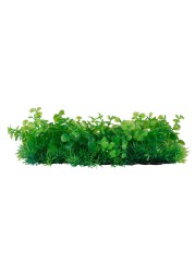 Chicos Artificial Aquarium Water Grass