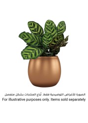 Artevasi Hera Ceramic Plant Pot (18 cm)