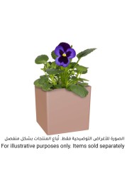 Artevasi Oslo Plant Pot (31 cm)