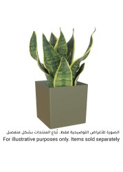 Artevasi Oslo Plant Pot (31 cm)