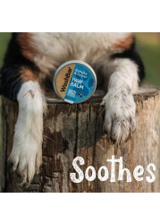 Washbar Paw Balm for Dogs (50 ml)