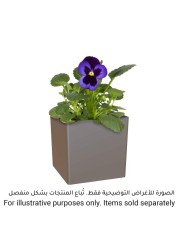 Artevasi Oslo Plant Pot (31 cm)