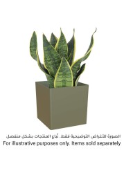 Artevasi Oslo Plant Pot (22 cm)