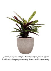 Artevasi Hestia Ceramic Plant Pot (28 cm)