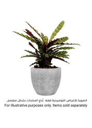 Artevasi Hestia Ceramic Plant Pot (20 cm)