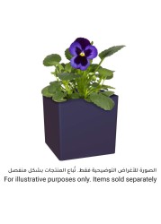 Artevasi Oslo Plant Pot (22 cm)