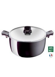 Tefal G6 Resist Intense Steel Stew Pot W/Lid (30 cm)