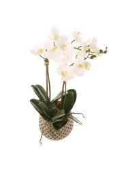 Artificial Orchid Plant (60 cm, White)