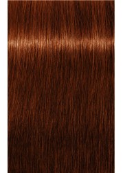 Indola Permanent Caring Color 5.60 | Light Brown Red Natural- 60 Ml