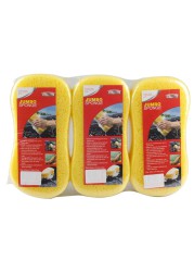 Smart Car Cleaning Sponge (3 Pc.)