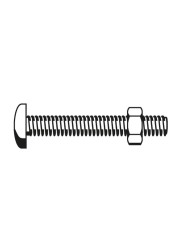 Suki Steel Roofing Bolt (M5 x 5 cm)