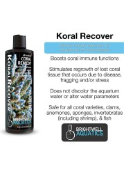 Brigthwell Koral Recovery (250 ml)