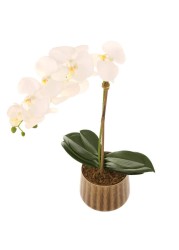 Artificial Orchid Plant (60 cm, White)