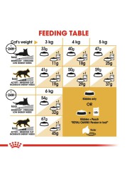 Royal Canin Feline Breed Nutrition Persian Cat Food (10 kg)