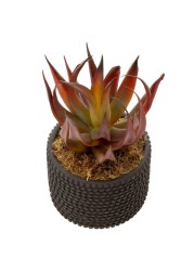 Artificial Potted Aloe Plant (20 cm, Red)