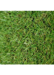 Dennis Artificial Grass ( 2 x 4 m, 20 mm)