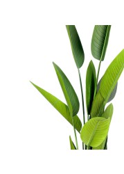 Mr Plant Strelitzia Artificial Tree W/Black Pot (30 x 30 x 185 cm)