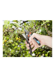 Extra Large Bypass Secateurs