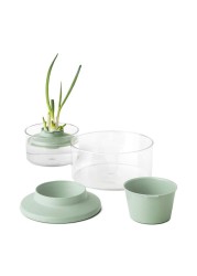 Brabantia Tasty+ Herbs & Vegetable Regrow Kit (18 x 10 cm)