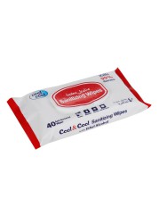 Cool & Cool Sanitizing Wipes (40 Sheets)