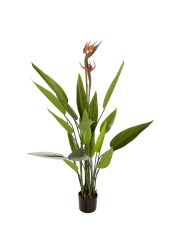 Artificial Bird of Paradise Plant (120 cm)