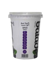 Balade Low Fat Blueberry Greek Yoghurt 450g