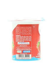 Yoplait Full Cream Strawberry Yoghurt 120g