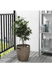 RÅGKORN Plant pot