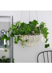 GALIAMELON Hanging planter