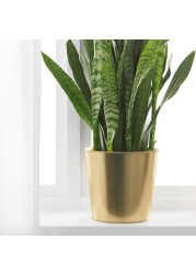 DAIDAI Plant pot