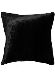 Decorative Velvet Zippered Throw Pillow Covers With Pillow Insert for Sofa Couch Bed, CAN, Set Of 2, Luxury Soft Cushion Cases With Pillow Insert(40x40 cm, Black)