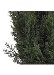 Nearly Natural 5292 6ft. Mini Cedar Pine Tree (Indoor/Outdoor),Green,6&#39;